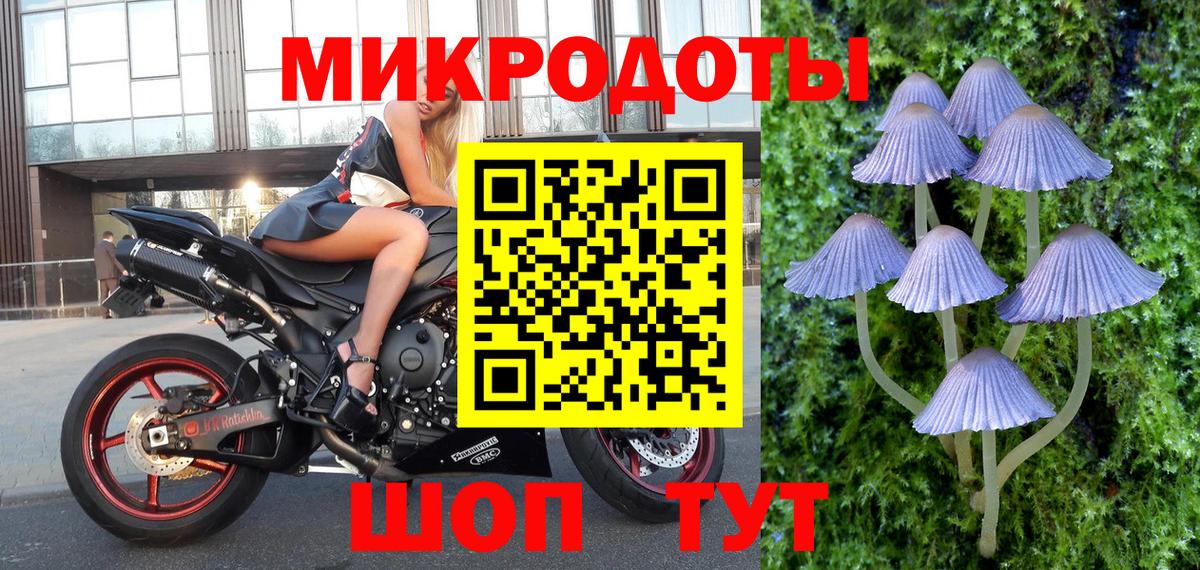 Черногорск  Галлюциногенные грибы Psilocybine cubensis  цены наркотик  Вход с VPN 
