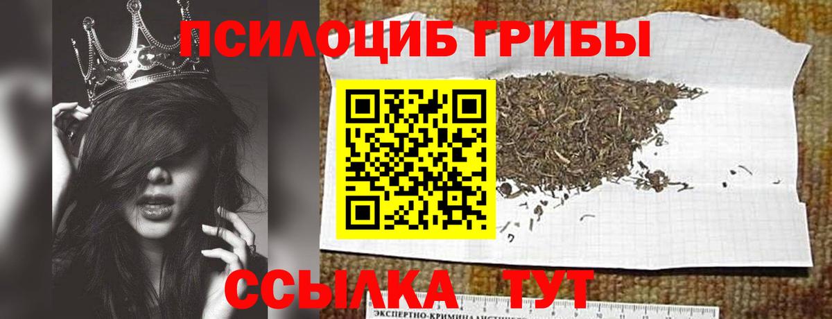 Галлюциногенные грибы Cubensis Черногорск